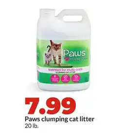 Hy-Vee Paws clumping cat litter offer