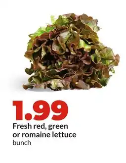 Hy-Vee Fresh red, green or romaine lettuce offer
