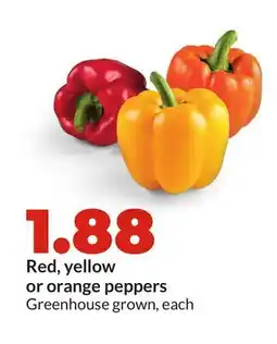 Hy-Vee Red, yellow or orange peppers offer