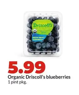 Hy-Vee Organic Driscoll's blueberries offer