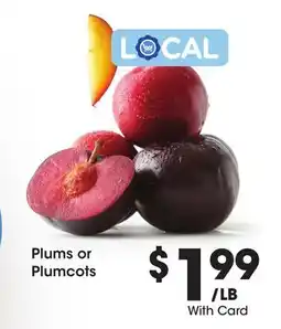 Ralphs Plums or Plumcots offer