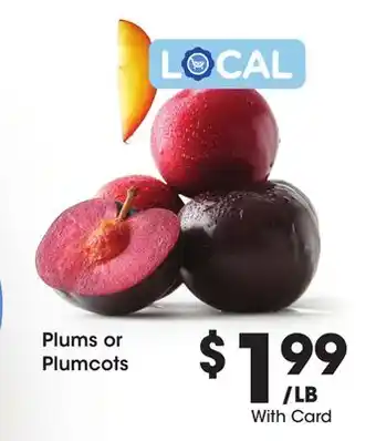 Ralphs Plums or Plumcots offer