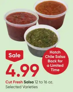 Stater Bros Cut Fresh Salsa offer