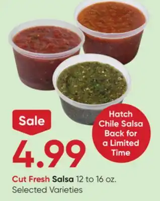Stater Bros Cut Fresh Salsa offer