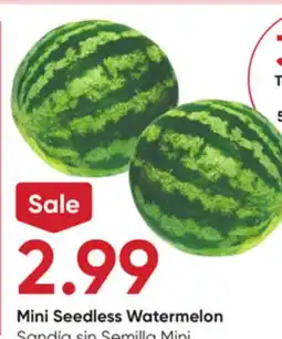 Stater Bros Mini Seedless Watermelon offer
