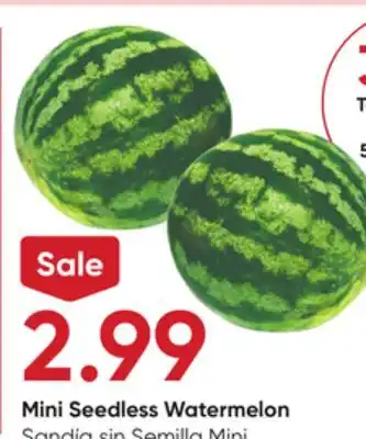 Stater Bros Mini Seedless Watermelon offer