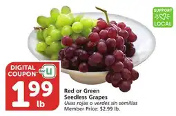 Albertsons Red or Green Seedless Grapes offer