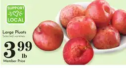 Pavilions Large Pluots offer
