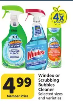 Albertsons Windex or Scrubbing Bubbles Cleaner offer