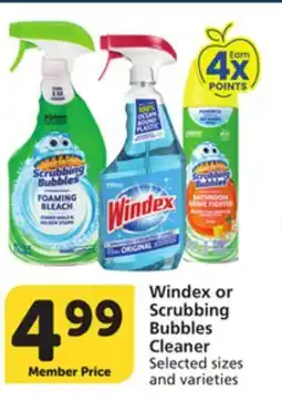 Pavilions Windex or Scrubbing Bubbles Cleaner offer