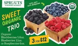 Sprouts Farmers Market Organic Blackberries 5.6oz. Blueberries 11oz. or Raspberries 6oz offer