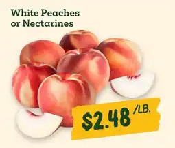 Sprouts Farmers Market White Peaches or Nectarines offer