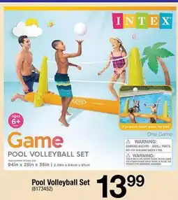 Ace Hardware Pool Volleyball Set offer