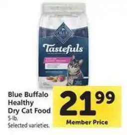 Safeway Blue Buffalo Healthy Dry Cat Food offer