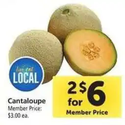 Safeway Cantaloupe offer