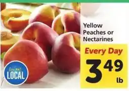 Safeway Yellow Peaches or Nectarines offer