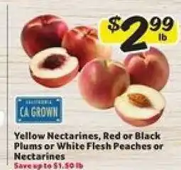 Winn Dixie Yellow Nectarines, Red or Black Plums or White Flesh Peaches or Nectarines offer