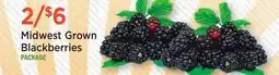 Heinen's Midwest Grown Blackberries offer