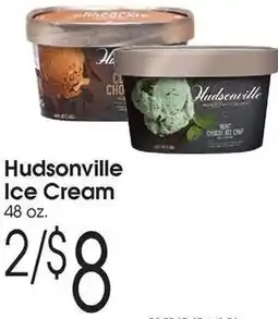 Family Fare Hudsonville Ice Cream offer