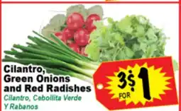 Superior Grocers Cilantro, Green Onions and Red Radishes offer