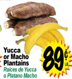Superior Grocers Yucca or Macho or Plantains offer