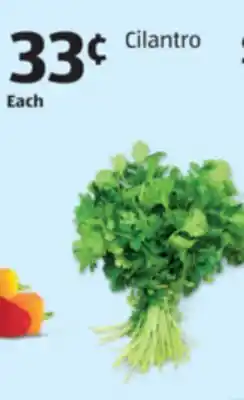 Aldi Cilantro offer