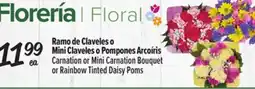 El Super Carnation or Mini Carnation Bouquet or Rainbow Tinted Daisy Poms offer