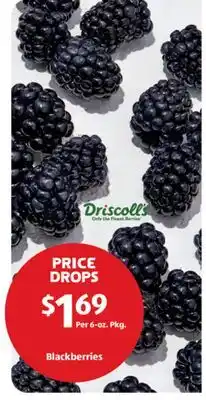Aldi Blackberries offer