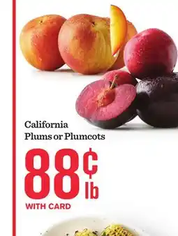 Mariano's California Plums or Plumcots offer