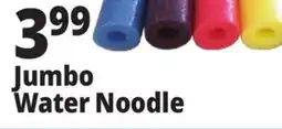 Ocean State Job Lot Jumbo Water Noodle offer
