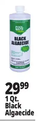 Ocean State Job Lot Black Algaecide offer