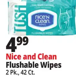 Ocean State Job Lot Nice and Clean Flushable Wipes offer