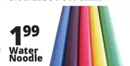 Ocean State Job Lot Assorted Pool Noodles offer