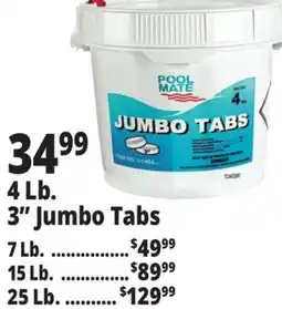 Ocean State Job Lot Pool Mate Jumbo Chlorine Tabs offer