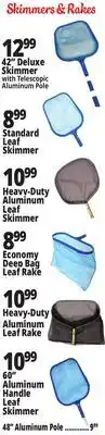Ocean State Job Lot SwimWorks Skimmer offer