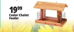 Ocean State Job Lot Cedar Chalet Feeder offer