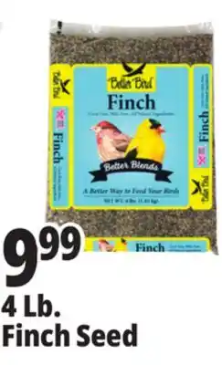 Ocean State Job Lot Better Bird Finch Bird Food 4 lbs offer