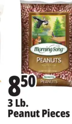 Ocean State Job Lot Morning Song Wildlife Food Peanuts 3 lbs offer