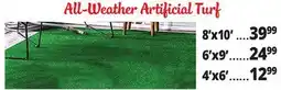 Ocean State Job Lot All-Weather Artificial Turf offer