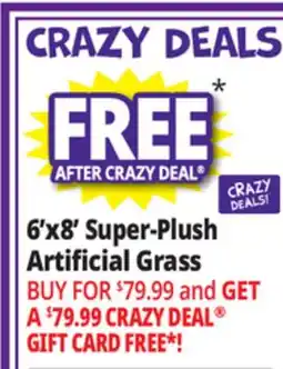 Ocean State Job Lot Super Plush Artificial Grass Rug 6' x 8' offer
