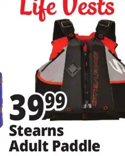 Ocean State Job Lot Stearns Adult Paddle offer