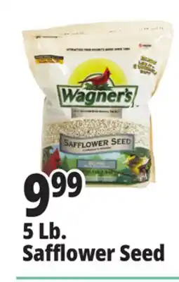 Ocean State Job Lot Wagner's Safflower Seed Deluxe Wild Bird Food offer