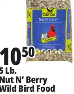 Ocean State Job Lot Better Bird Premium Nut N' Berry Bird Food 5 lbs offer