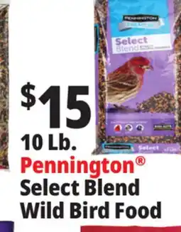 Ocean State Job Lot Pennington Premium Select Blend Bird Seed 10 lb offer