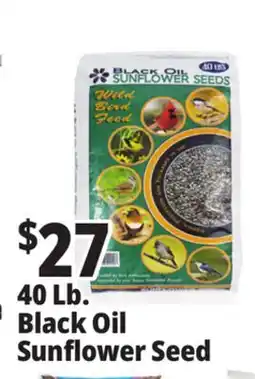 Ocean State Job Lot Black Oil Sunflower Seeds 40 lbs offer
