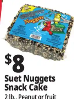 Ocean State Job Lot Suet Nuggets Snack Cake offer