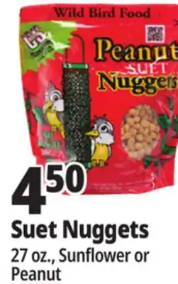 Ocean State Job Lot C&S Sunflower Suet Nuggets 27 oz offer