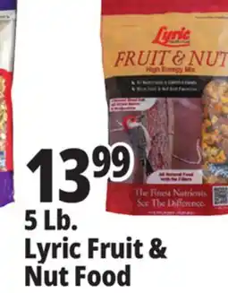 Ocean State Job Lot Lyric Fruit and Nut High Energy Wild Bird Food Mix 5 lbs offer