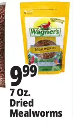Ocean State Job Lot Wagner's Bird Meal Worms 7oz offer