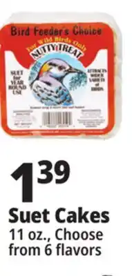Ocean State Job Lot Bird Feeder's Choice High Energy Suet 11 oz offer